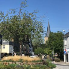 Montanuskreisel