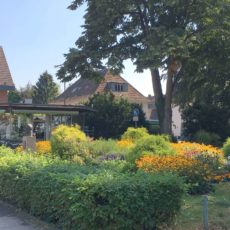Alter Stadtpark